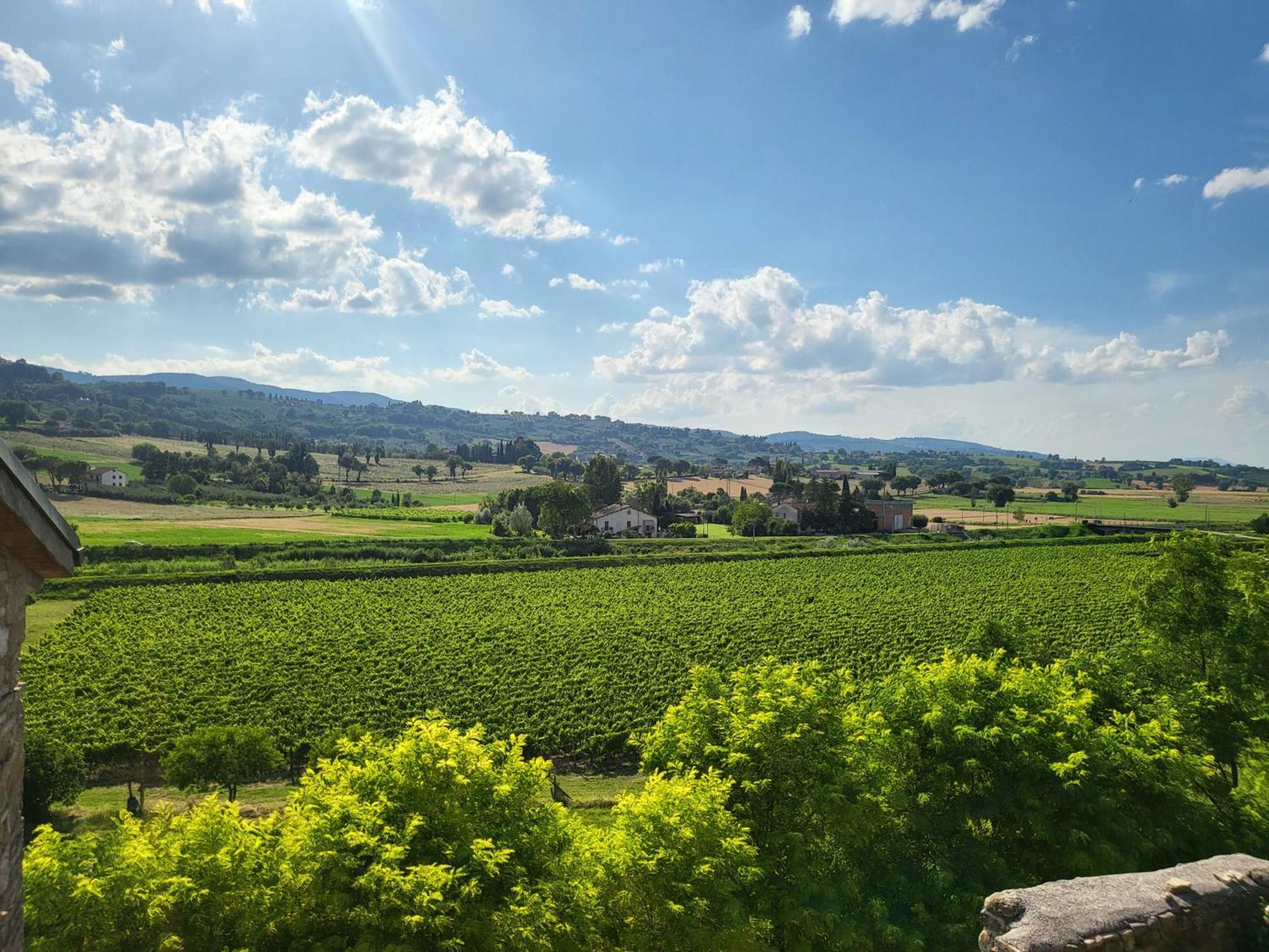 Appartamento Con Camino In Centro Storico Bevagna Dış mekan fotoğraf